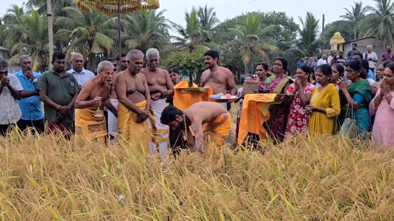 மட்டக்களப்பு கொத்துக்குளம் ஸ்ரீ முத்துமாரியம்மன் ஆலயத்தில் இன்று தைப்பூசத்தை முன்னிட்டு விசேட வழிபாடுகள் இடம்பெற்றன